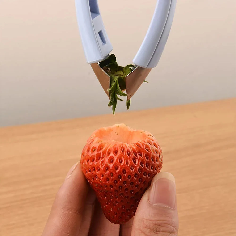 Stainless Steel Pineapple & Strawberry Slicer: Kitchen Accessories